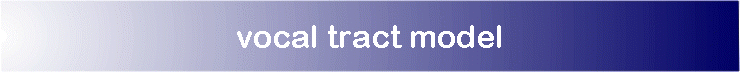 vocal tract model